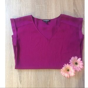 Express V Neck Silk Top in Plum